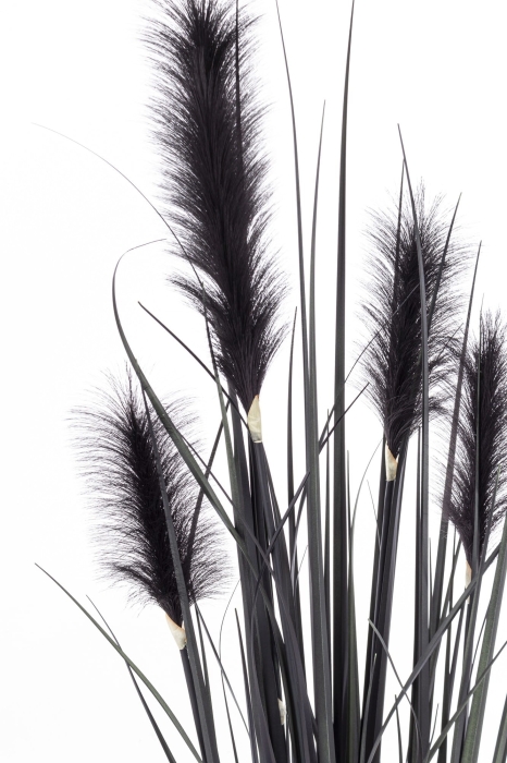 2042e9bcec608929d3c3b278c854a370