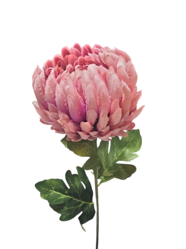 CHRYZANTEMA JASNY FIOLET 76CM