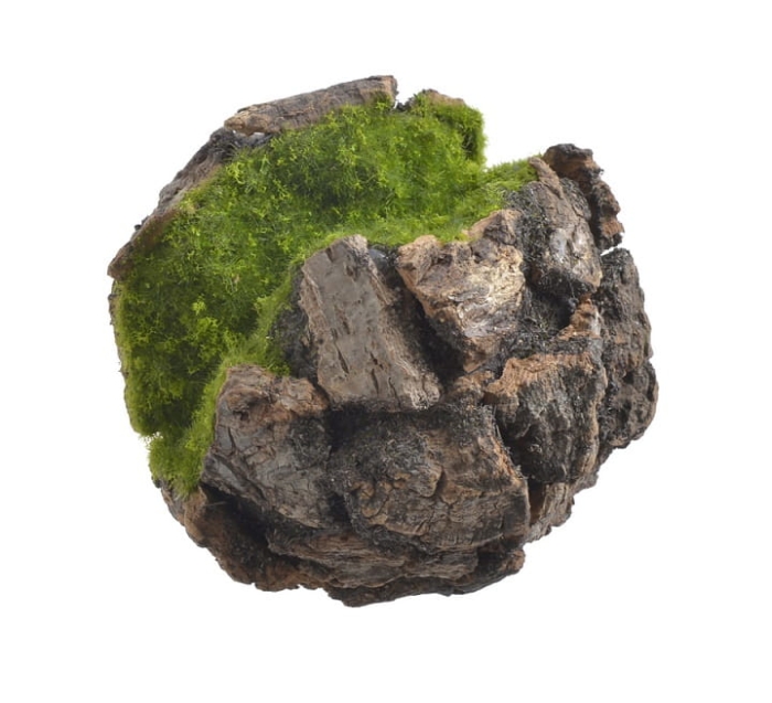 ZIELONA OMSZAŁA KULA MAŁA