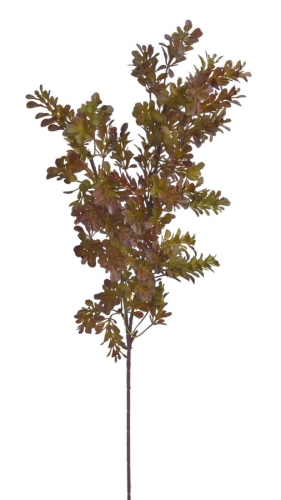 BUKSZPAN GAŁĄZKA BRĄZOWY