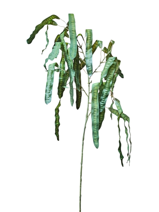 FASOLA ZIELONA 76CM