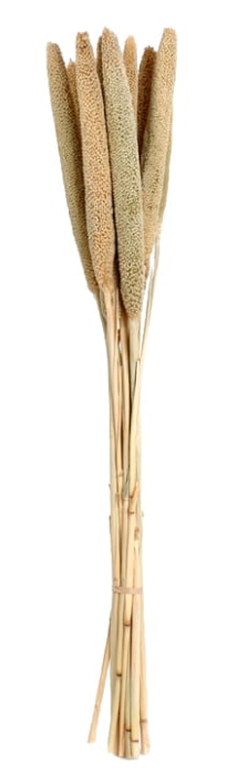 BABALA GRUBA SZUSZ NATURALNY 1SZT 75CM