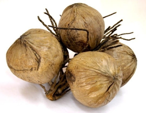 KOKOS 1SZT