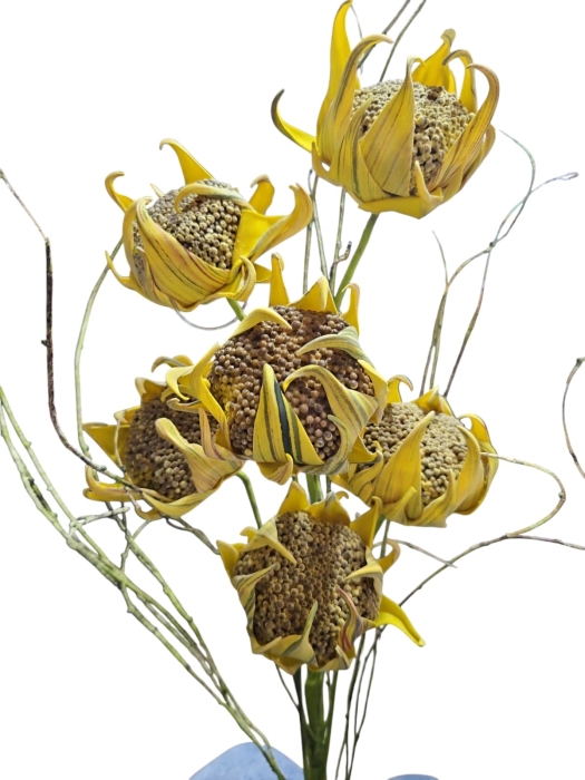 WhatsApp Image 2025-02-06 at 08.43.41.jpeg