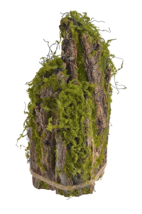 OMSZAŁA KORA 17X15X35CM