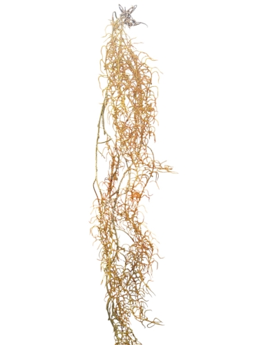 WhatsApp Image 2025-03-19 at 09.49.49.jpeg