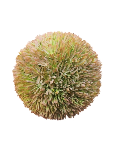 WhatsApp Image 2025-03-19 at 10.30.44.jpeg