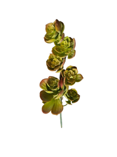 SUKULENT OZDOBNY ŻÓŁTY 30CM