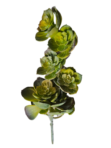 SUKULENT OZDOBNY ZIELONY 30CM