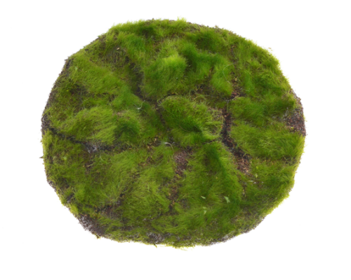 a18.png