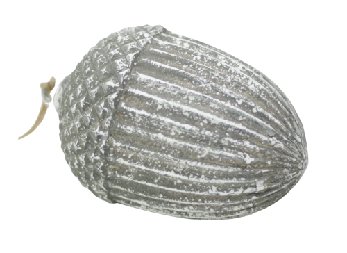 Projekt bez nazwy (26).png