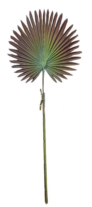 7142da7339b8bdcae8b19ea854004bc5