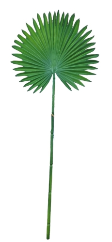 e2bd4ee6e26ed969e4edfc13221b8b1b