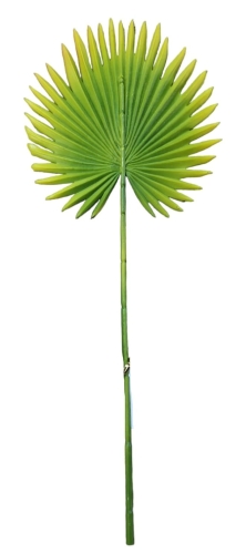 29b1907fdfcaf0f7b5a01997392b5089