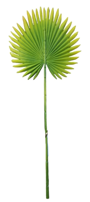 29b1907fdfcaf0f7b5a01997392b5089