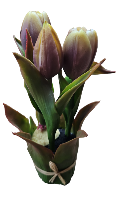 4d387ff0dc350dcc4ddbb78b5c65760e