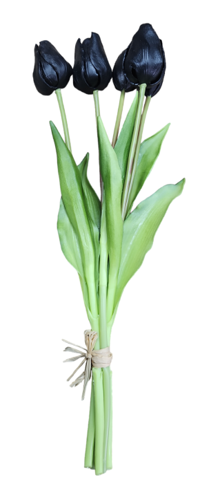 1aacc88eac06b3e1c0d18359ffa5a65b