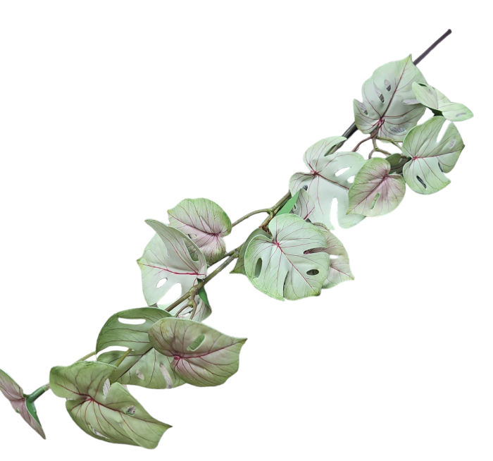 c58347d49f15797d38da0fe9a0913ee5