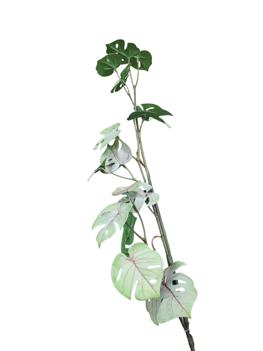 4a664d1140883af110ba8d62ff0189c0