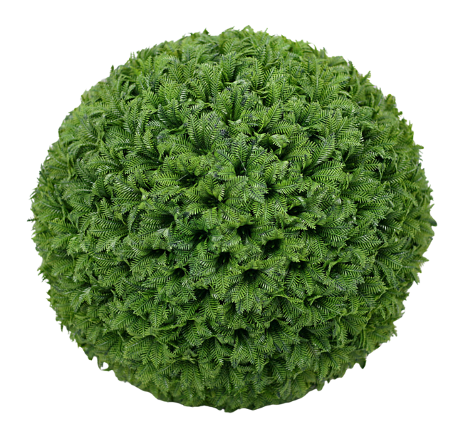 014182 - 2025-06-10T113446.974.png