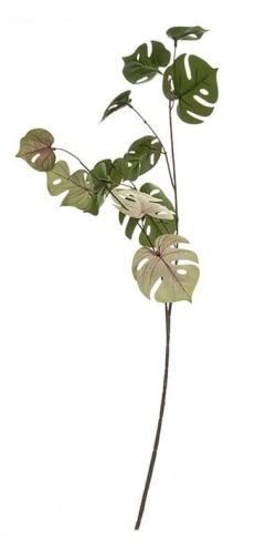 5f7c37cf0586d00f464edcf11d9f020b