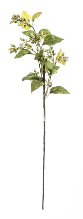 4c1c96a2847d649a730ec308529ffb30