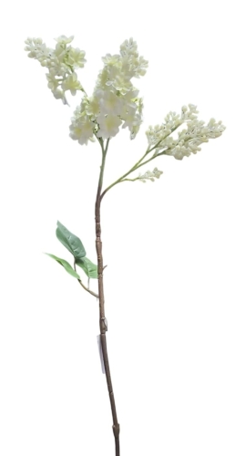 WhatsApp Image 2025-01-21 at 10.21.26.jpeg