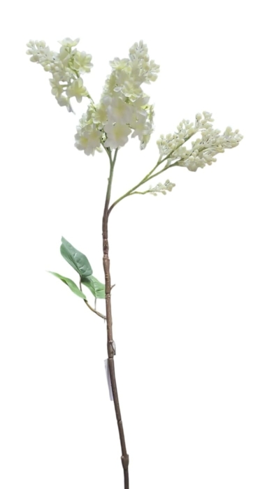 WhatsApp Image 2025-01-21 at 10.21.26.jpeg