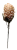 www.morettodesign.pl (84).png