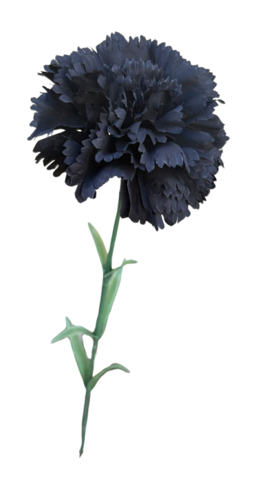 33614 (15).png