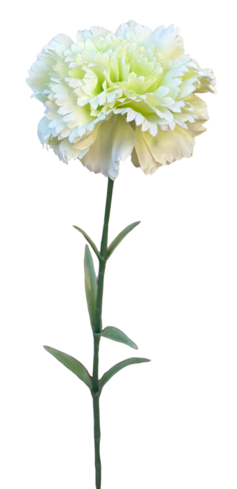 33614 (17).png