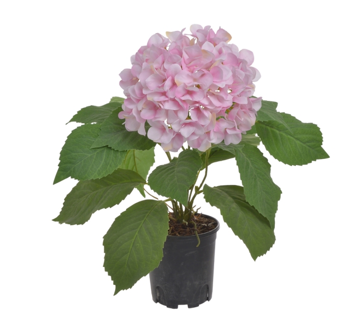 HORTENSJA W DONICZCE SZTUCZNA 46 CM RÓŻOWA