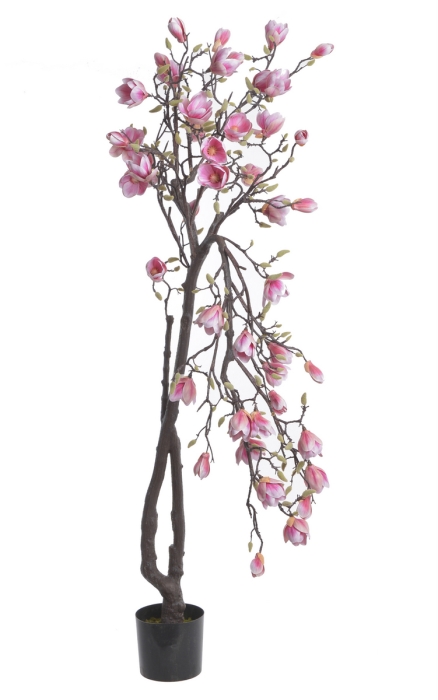 MAGNOLIA W DONICZCE SZTUCZNA 192 CM