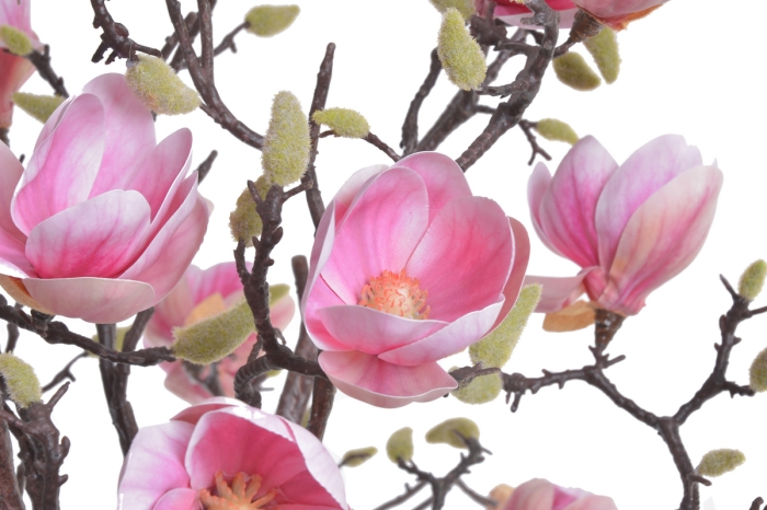 MAGNOLIA W DONICZCE SZTUCZNA 192 CM