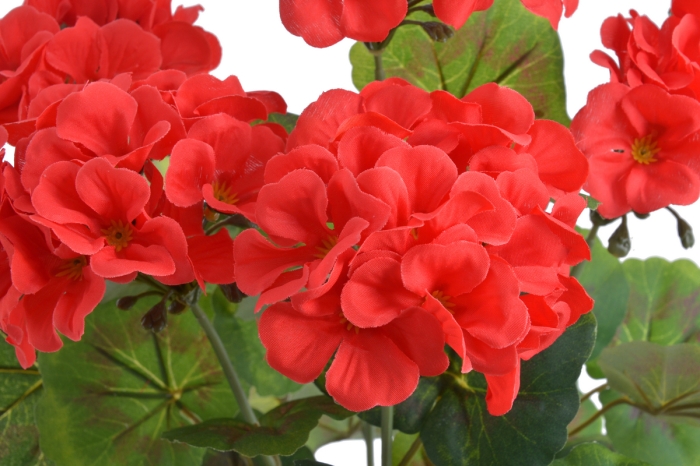 SZTUCZNA ROŚLINA PELARGONIA 52 CM