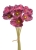 120CAN2526-7_PU.jpg