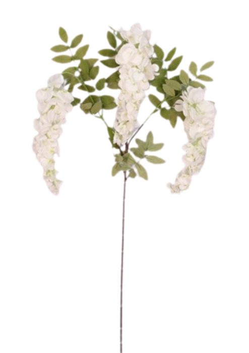 normalne zdj - 2026-01-09T144044.969.png