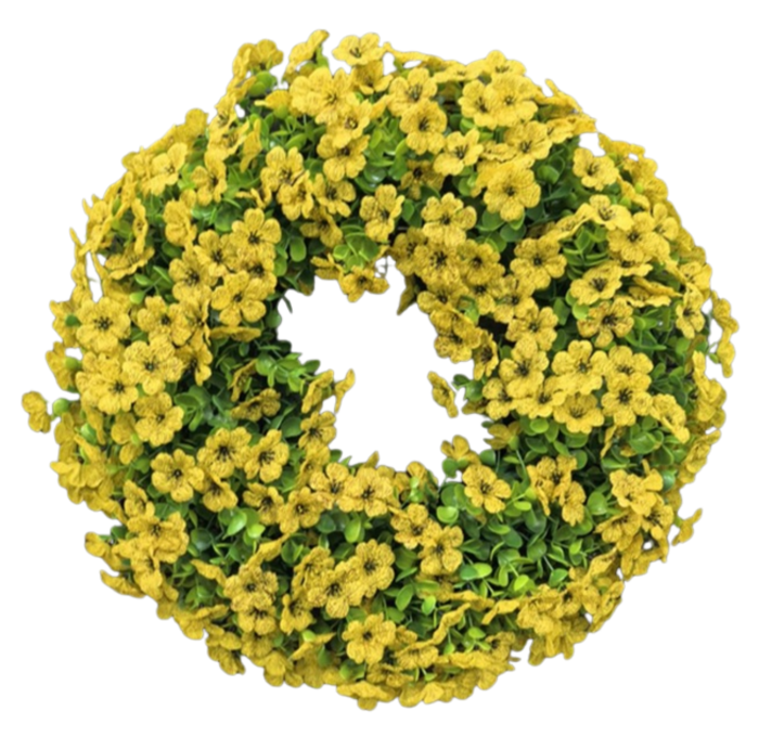 normalne zdj - 2026-01-15T085122.114.png