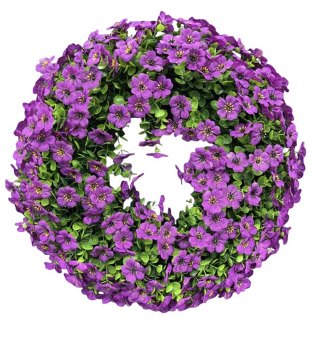 normalne zdj - 2026-01-15T085413.999.png