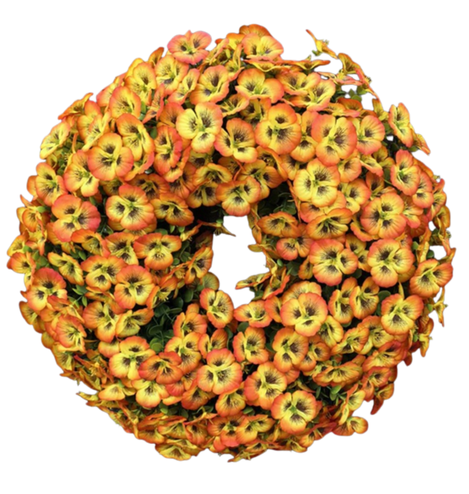 normalne zdj - 2026-01-15T085608.223.png