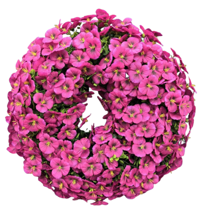 normalne zdj - 2026-01-15T085750.087.png