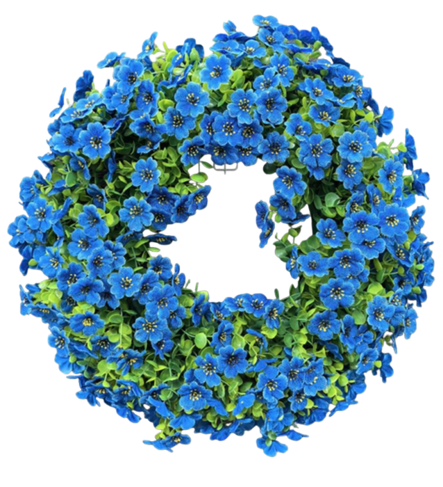 normalne zdj - 2026-01-15T090045.448.png