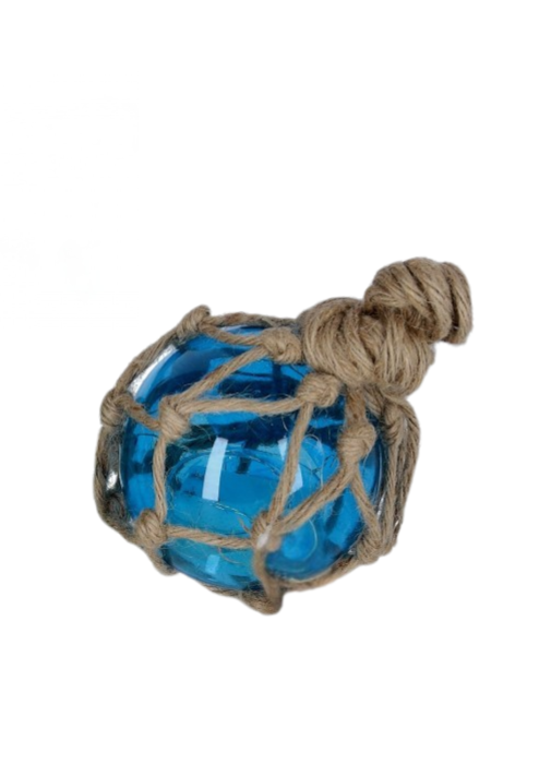 normalne zdj - 2026-01-13T134157.997.png