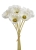 120CAN2526-7_01.jpg