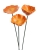 68ccf63f6cca5.jpg