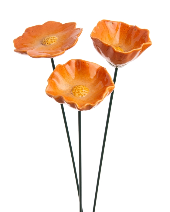 68ccf63f6cca5.jpg