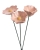 68ccf6c2d2065.jpg