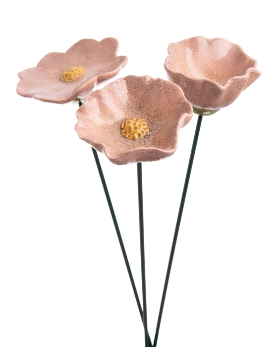 68ccf6c2d2065.jpg