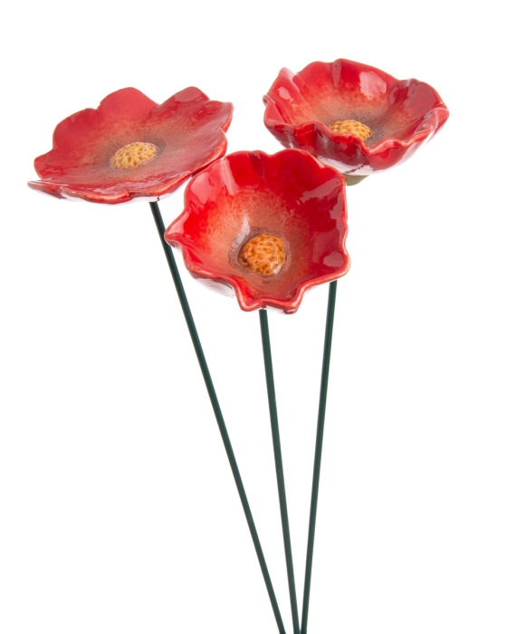 68ccf6f9d0565.jpg
