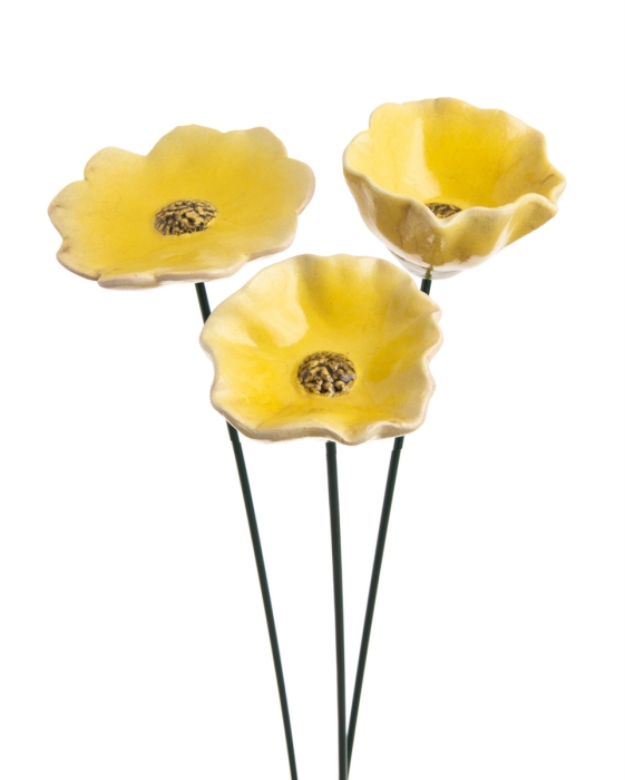 68ccf76237e84.jpg